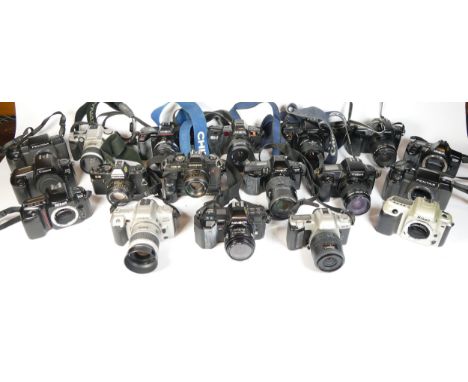 Twenty three SLR vintage film cameras to include a Canon EOS 500, a Nikon F50, a Minolta 5000 and a Canon EOS 1000f 