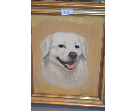 A. Buckleu, oil on canvas, portrait of a golden labrador, 13ins x 9ins, together with an oil on canvas, head and shoulder por
