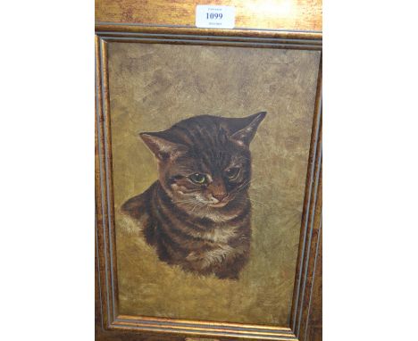 Attributed to Frank Paton, oil on canvas, portrait of a cat, inscribed on frame plaque, 14ins x 9ins