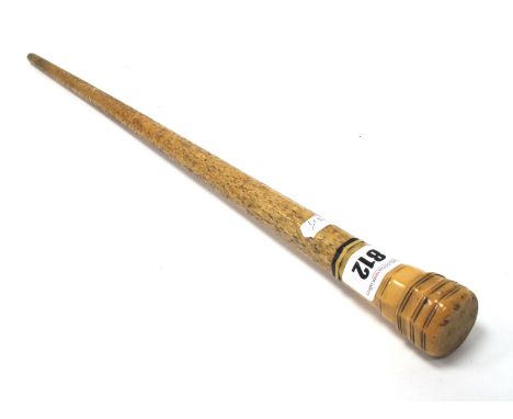 A Mid XIX Century Whale Bone Walking Stick, with turned hexagonal ivory handle, 74.5cm long.