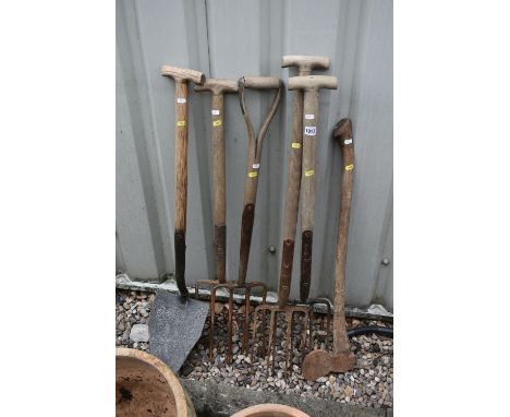 SIX VARIOUS GARDENING TOOLS, to include four pitchforks, a shovel and an axe (condition - all in used condition, some rust to