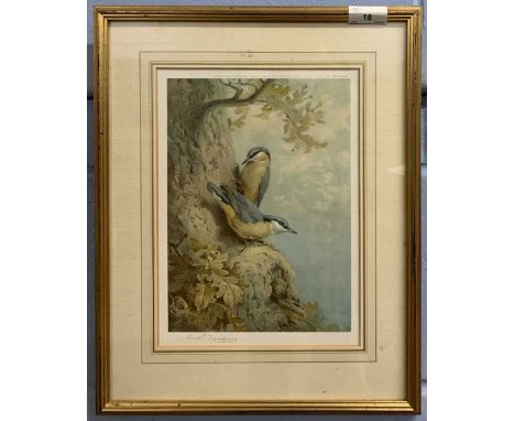 After Archibald Thorburn (Scottish,1860-1935), Nuthatches, lithograph, published 1928 by W.T. Embleton, London, signed in pen