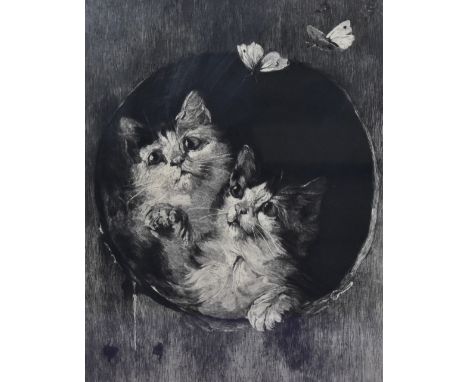 Artist Unknown, 19th/20th Century, a monochrome print, A portrait of kittens, framed, mounted, and under glass, 27cm x 37cm, 