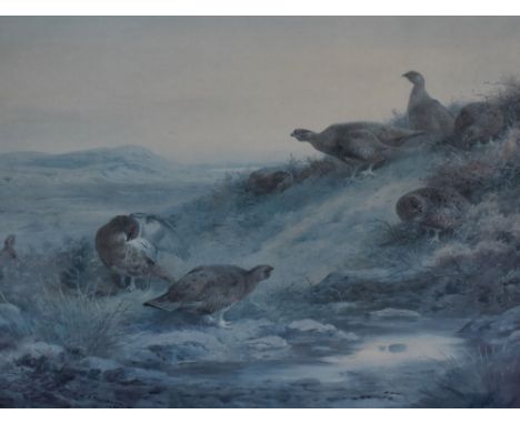 After Archibald Thorburn RA (1860-1935), a coloured print, 'A Covey of Red Grouse by a Spring' (1930), framed, mounted, and u