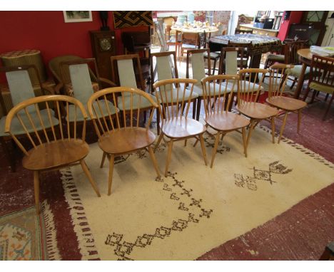 Set of 6 blonde elm Ercol chairs to include 2 carvers