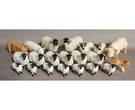 comprising: various Sheep and Lambs, a Tamworth Pig model No. G214, a Kid, model No. 1036, a Border Fine Arts Pottery Pig etc