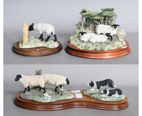 Border Fine Arts Sheep Models Comprising: 'Summer Shade', model No. B0340, limited edition 244/1500, on wood base; 'Suffolk E
