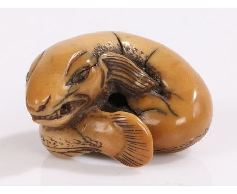 Japanese Edo period corozo nut netsuke, Fish curled tightly, with eyes inlaid with dark horn, 4cm. Provenance: Popular Art in