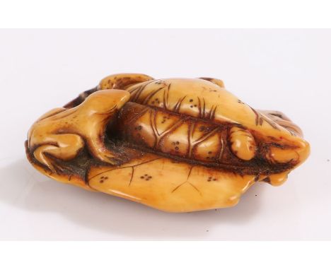 Japanese Meiji period ivory netsuke, carved as a frog of a lily, 4cm wide