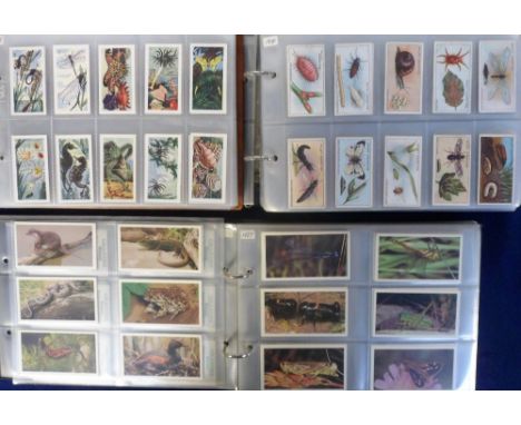 Cigarette &amp; trade cards, a collection of Wild Life and Natural History related cards, sets and part-sets contained in 3 m