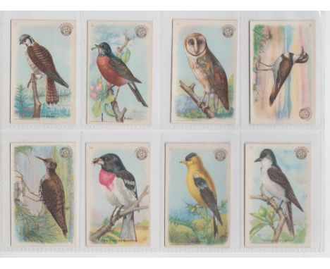 Trade cards, USA, Church &amp; Dwight, Useful Birds of America, 'M' size, three sets, First Series (30 cards, one with mis-pr