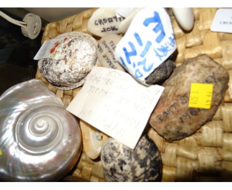 PLACEMAT AND QUANTITY OF VARIOUS SHELLS AND PEBBLES