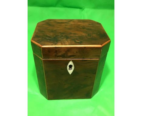 GEORGIAN BURR YEW WOOD TEA CADDY