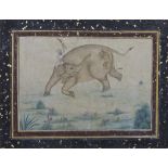 India, a ablum page of elephant with mahout attacked by lion, 19th century;