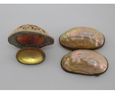 A 19th century cowrie shell snuff box with scroll-chased silver-plated mount, the hinged cover probably Georgian silver with 