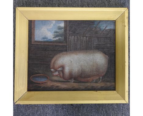 Attributed to J Box, 20th century, portrait of a pig in a sty, oil on canvas laid on board, 20 x 25cm