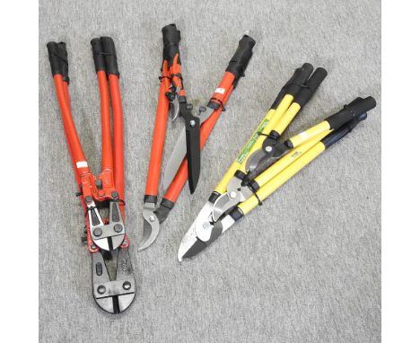 A pruner, lopper, and shear set, together with a lopper, shear, and secateur set, and two pairs of bolt croppers