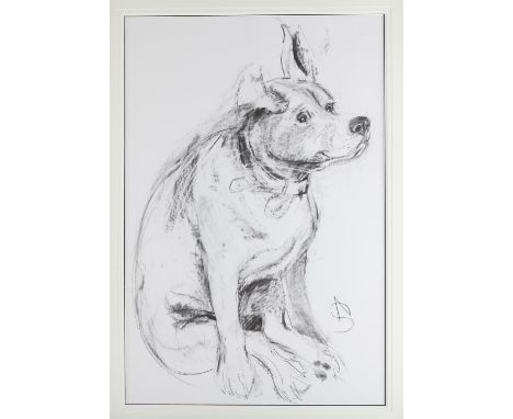 April Shepherd, 'Dog Portrait IV', original drawing on mounted paper, 76cm x 51cm
