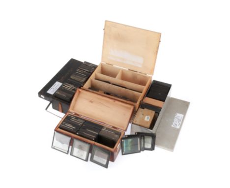 Large Quantity of Magic Lantern Slides, 4 boxes of slides covering various subjects including photographs of birds, botany en