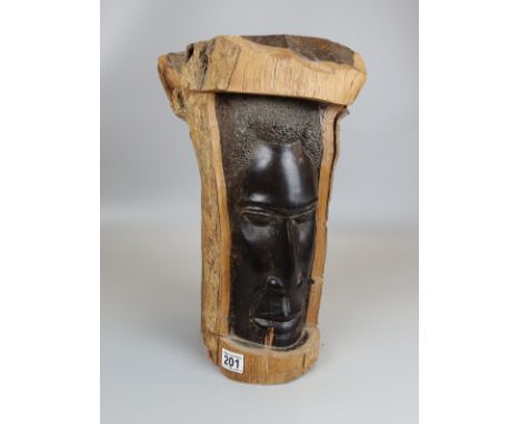 Tribal head carved in to tree trunk