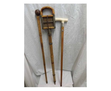 Vintage bone handled Malacca Walking Cane with a hallmarked Silver collar inscribed  Mrs John Ayvis, Norwich  together with a