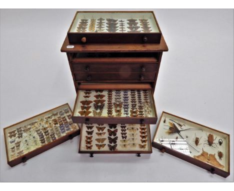 A Diverse Collection of Butterflies Moths and Insects, circa 1900, contained within a stained pine eight drawer collectors ca