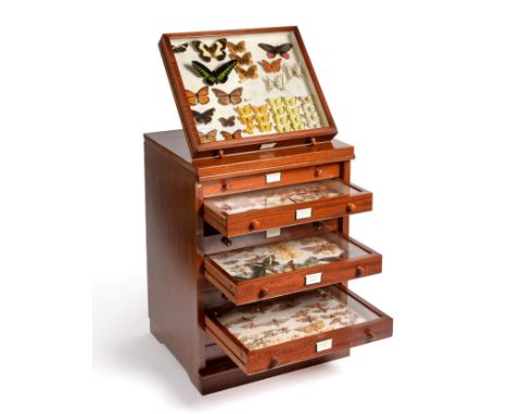 A Ten Drawer Mahogany Butterfly and Moth Collectors Cabinet by J J Hill and Sons, London NW10, circa 1920 containing a varied
