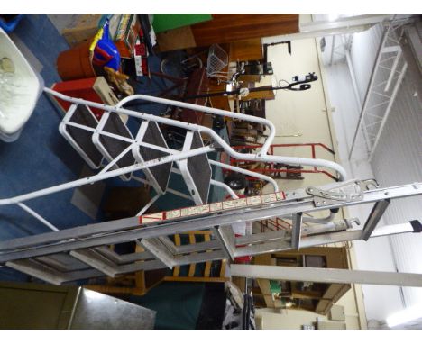 A Folding Step Ladder and an Adjustable Step Ladder