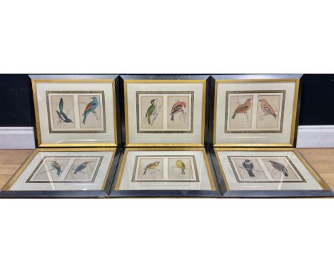 Reverend Francis Morris after, set of twelve Ornithological coloured engravings, each framed as a pair including Roller, Magp