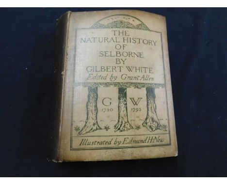 GILBERT WHITE: A NATURAL HISTORY OF SELBORNE, Ed Grant Allen, ill Edmund H New, London and New York, John Lane, 1900 first ed