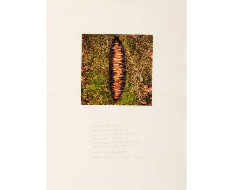 § Andy Goldsworthy (British 1956-) Series of Seven Works, 1987-94 each inscribed, signed and dated in pencil, 6 c-prints and 