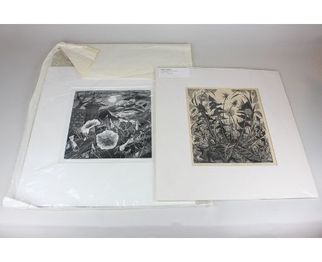 Monica Poole (1921-2003), dandelion, woodblock print, signed in pencil, numbered 19/75, 26cm by 23cm, and another of bindweed