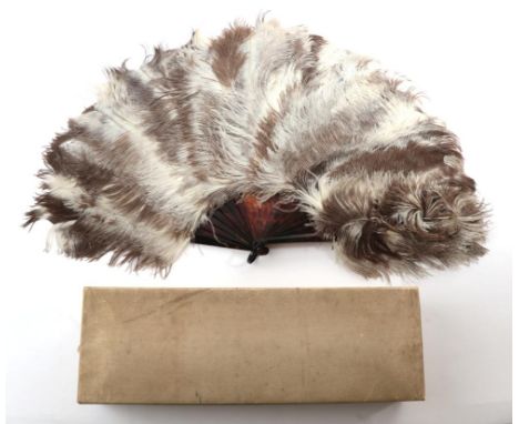 A Circa 1900 Female Ostrich Feather Fan, the feathers mottled in brown and soft cream, mounted on tortoiseshell, the gorge be