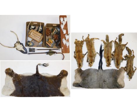 Hides/Pelts/Collectibles: A Quantity of Various Collectibles, including - five Red Fox pelts, Sable antelope flank skin, Blue