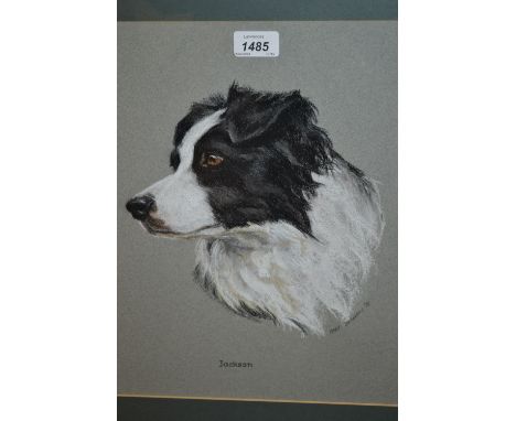 Mary Helena Browning, pastel portrait of a sheep dog, signed, 14.5ins x 12.5ins, framed