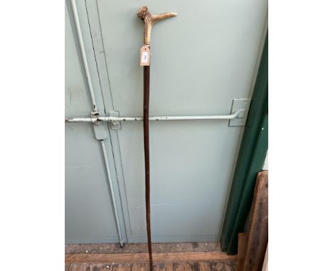 Shepherd's stick with horned handle