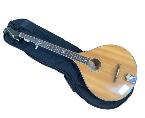 Ozark Bouzouki and Stagg holdall.