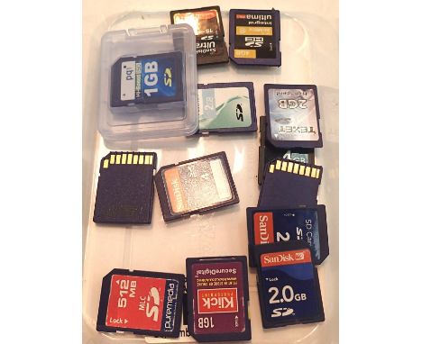 Thirteen SD storage cards, 1, 2, 4gb. P&amp;P Group 1 (£14+VAT for the first lot and £1+VAT for subsequent lots) 