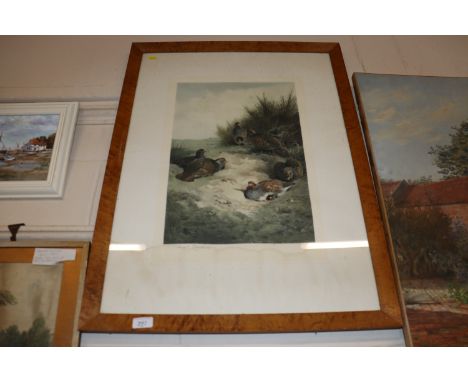 After Archibald Thorburn, pencil signed coloured print depicting partridges in burr maple frame 