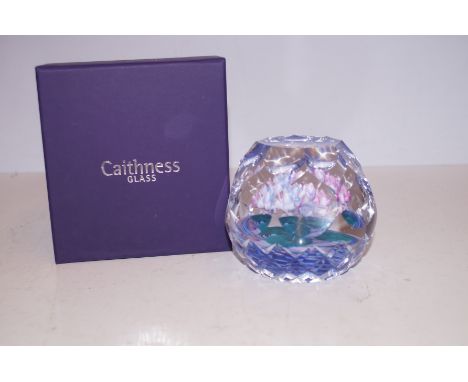 Caithness Hydrangea limited edition paperweight 20/100