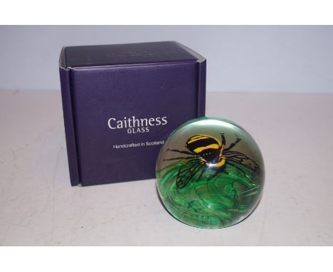 Caithness Buzzing bee paperweight
