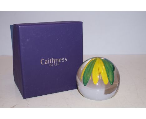 Caithness celandine limited edition paperweight 34/200