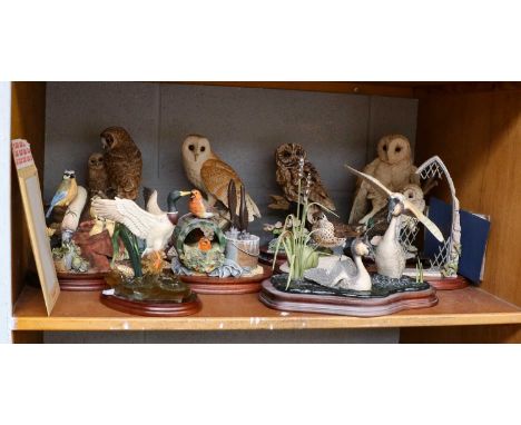 Border Fine Arts Bird Models Including: 'Tawny Owl', model No. WB70, limited edition 1128/1850, with certificate, 'Barn Owl a