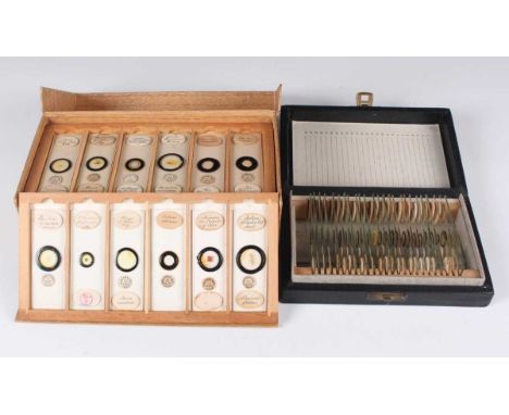 A collection of seventy-two microscope specimen slides, mostly late Victorian, including entomological, botanical and zoologi