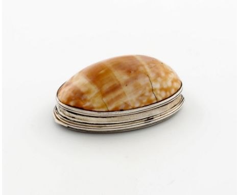 An early 19th century silver-mounted cowrie shell snuff box, unmarked, the mounts with reeded decoration, the hinged cover wi