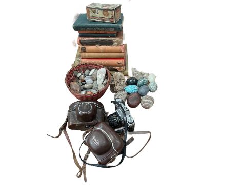 Group of sundry items to include three cameras, hardstone eggs, art related books and stamps.