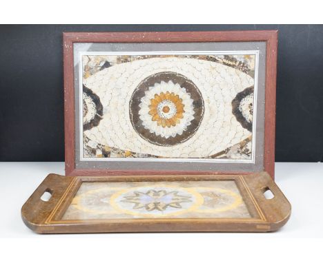 Vintage two handled inlay tray with butterfly wing design under glass together with a butterfly wing pattern framed picture 3