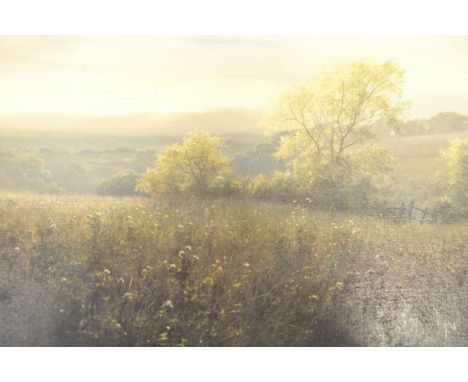 David Dipnall - 'Early Light' - 29x44cm oil on canvas CONDITION REPORT: Good condition.  Size given is the canvas size, not i