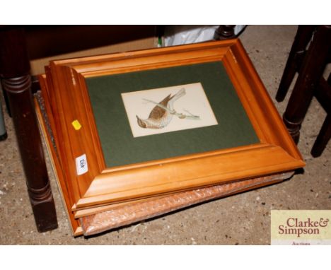 Six various pine framed ornithological prints etc