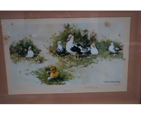 Limited edition David Shepherd signed print Muscovy ducks with blind stamp framed 